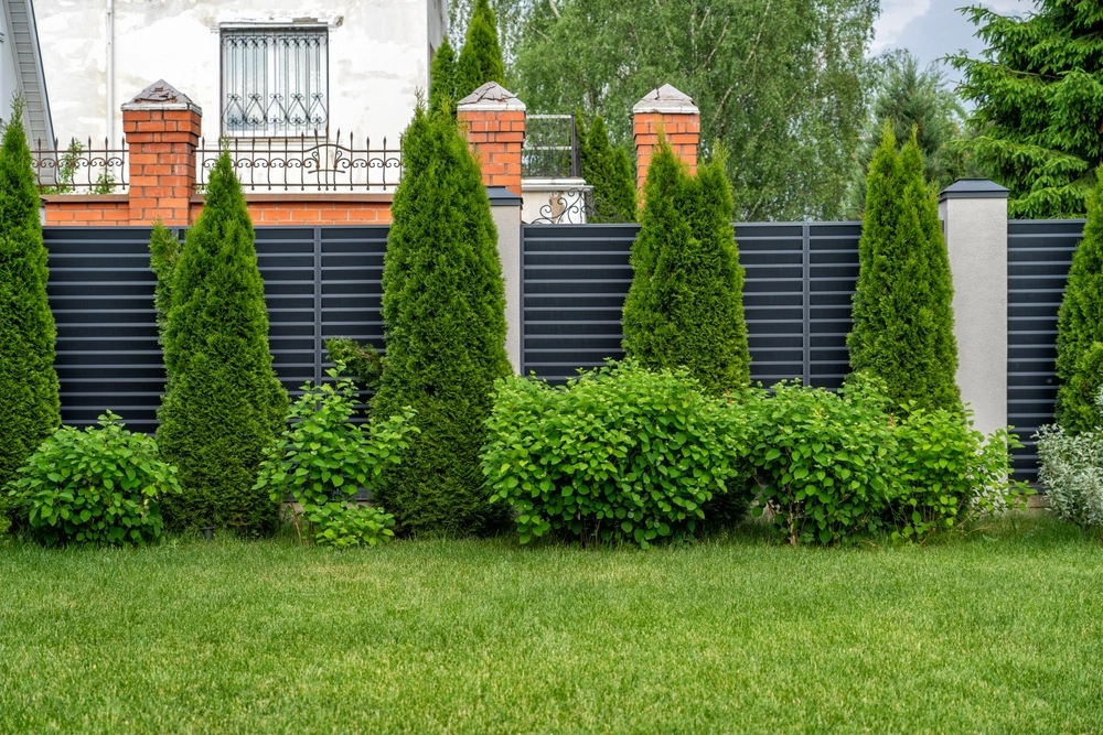 cloture jardin